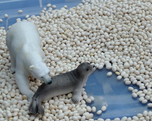 Arctic Habitats and Creatures