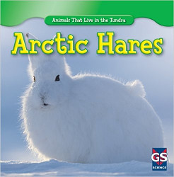 Arctic Hares