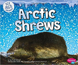 Arctic Shrews