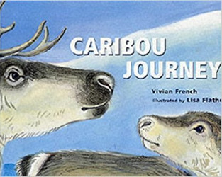 Caribou journey
