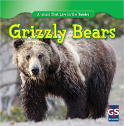 Grizzly Bears