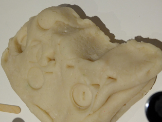 Reindeer Hoof Experiment