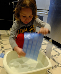 Why Icebergs Float Experiments