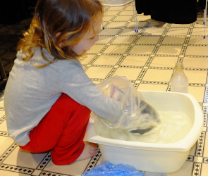 Polar Bear Insulation Experiment