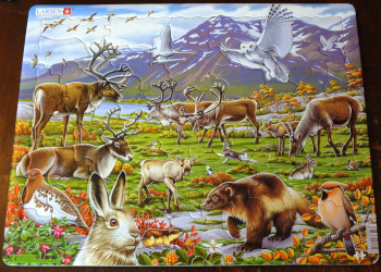 Tundra Jigsaw Puzzles