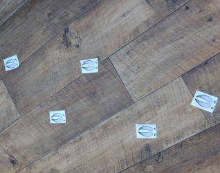 Migrating Reindeer Game