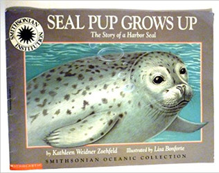 Seal Pup Grows Up