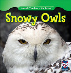 Snowy Owls