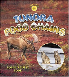 Tundra Food Chains