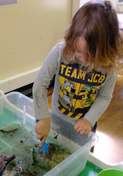 diggin up fossilised forests in the ice