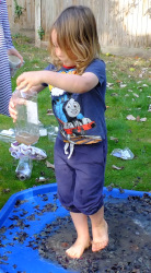 grape pressing