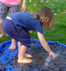 grape pressing