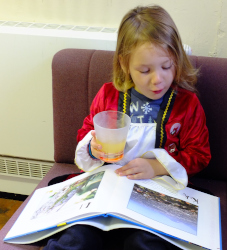 reading about Jamaica