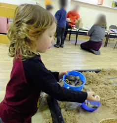 zen garden
