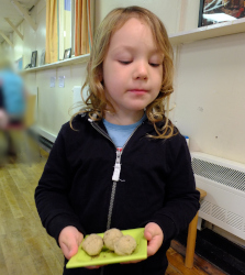 making falafel in the cafe