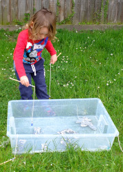 fishing for sardines