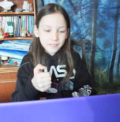 Beginner's Certificate