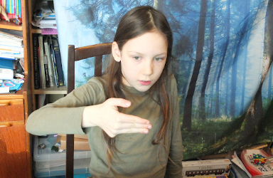 Beginner's Certificate