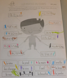 learning French body parts