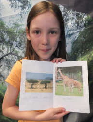 safari book written in Spanish