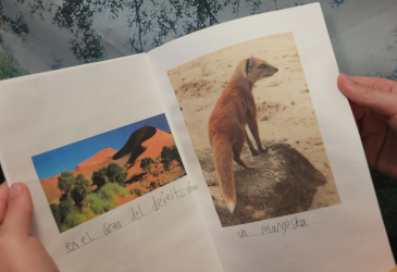 safari book written in Spanish