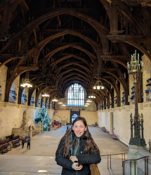 Houses of Parliament Tour