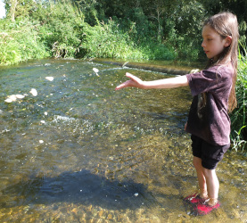 Festival of Rosh Hashanah
