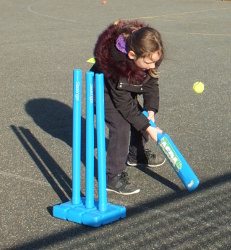 cricket skills