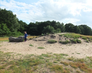 West Stow Beowulf Walk