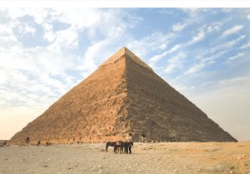 SeaCity Online AE session