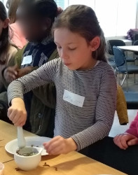 Medieval Medicine Workshop