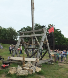 using the catapult
