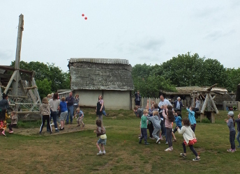 using the catapult