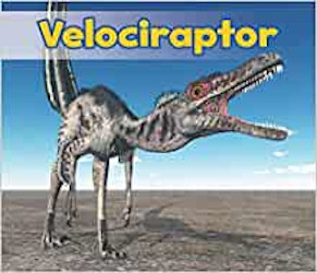 Velociraptor