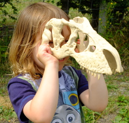 Dino Day at South Angle Farm