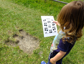 matching footprints