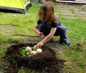 Making A Dinosaur Nest