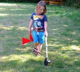 Measuring Dinosaur Lengths