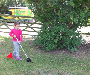 Measuring Dinosaur Lengths