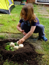 placing dinosaur eggs