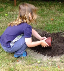 making the dinosaur nest