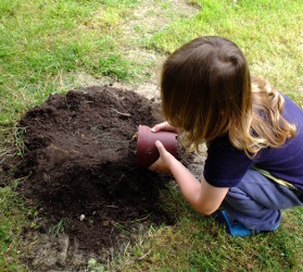 making the dinosaur nest