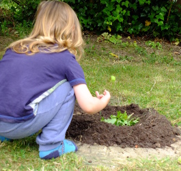 making the dinosaur nest