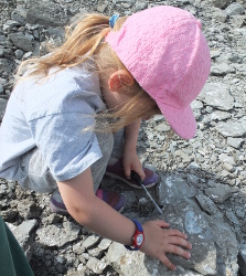 Fossil Dig in Jurassic Clay