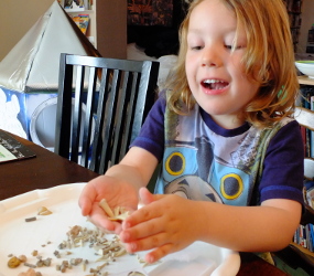 Looking at Fossils