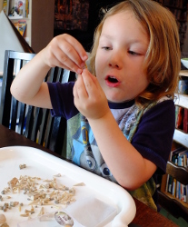 looking at fossils