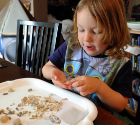 looking at fossils