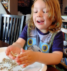 looking at fossils