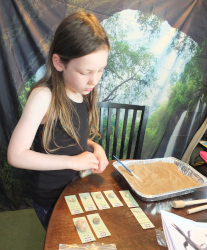 looking at fossils