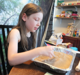 looking at fossils